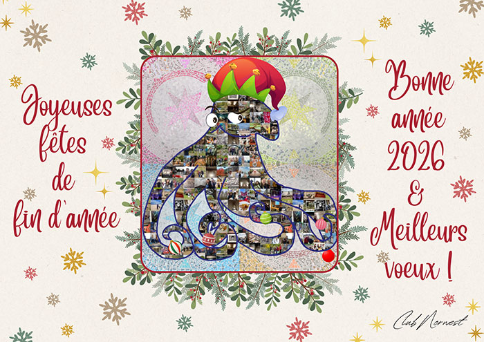 Vœux 2026